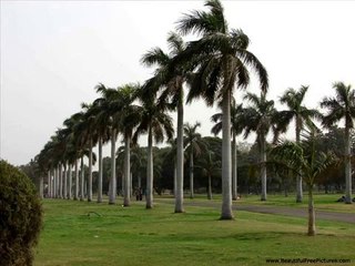 Saleem Raza - Mohabbat Wich Khushi - Munshi Sabrang