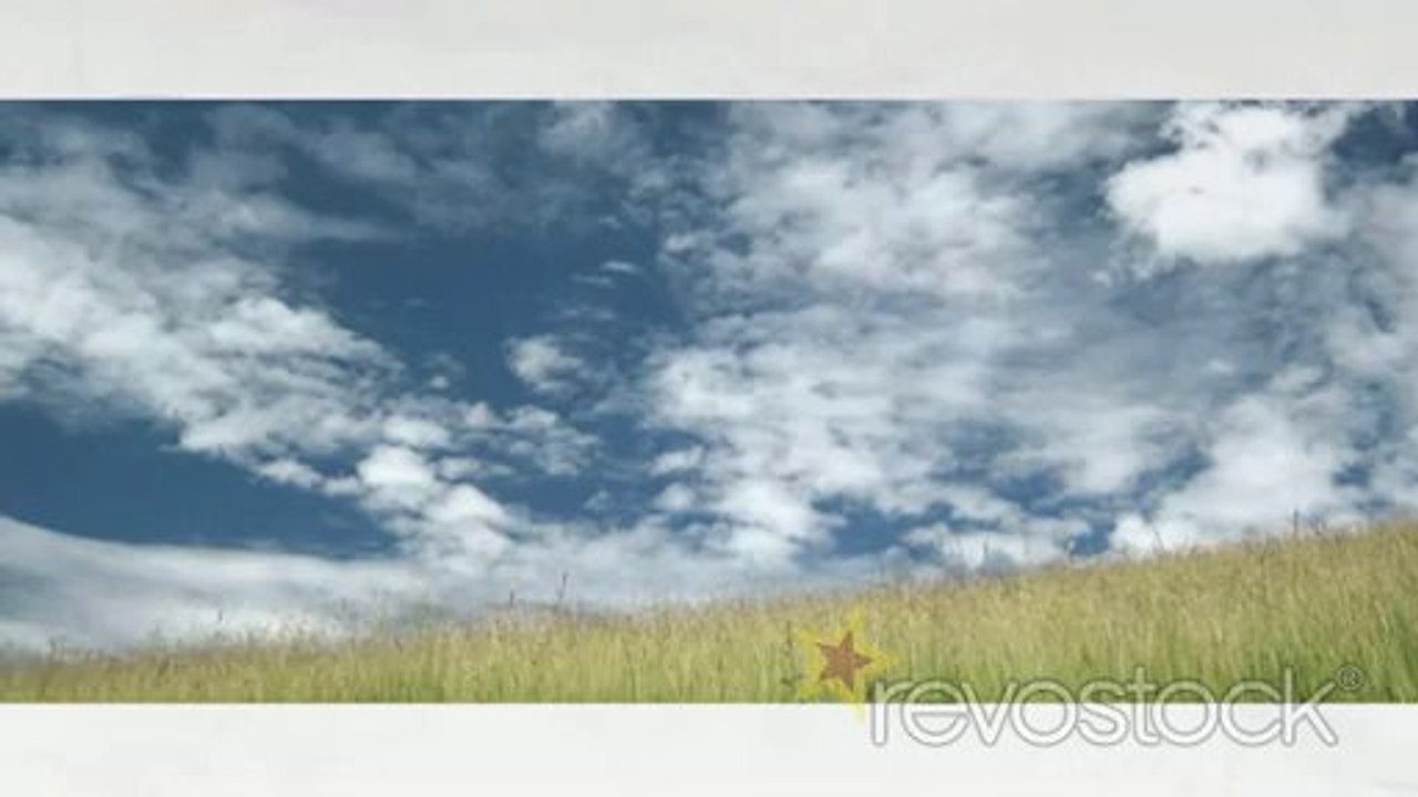 Color Cut After Effects Template Project