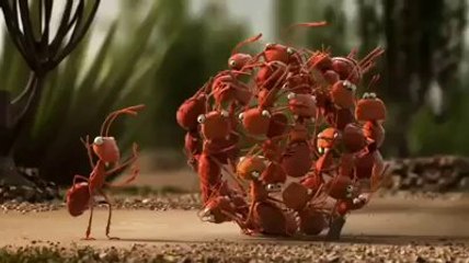 It's smarter to travel in groups.