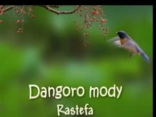 Dangoro mody