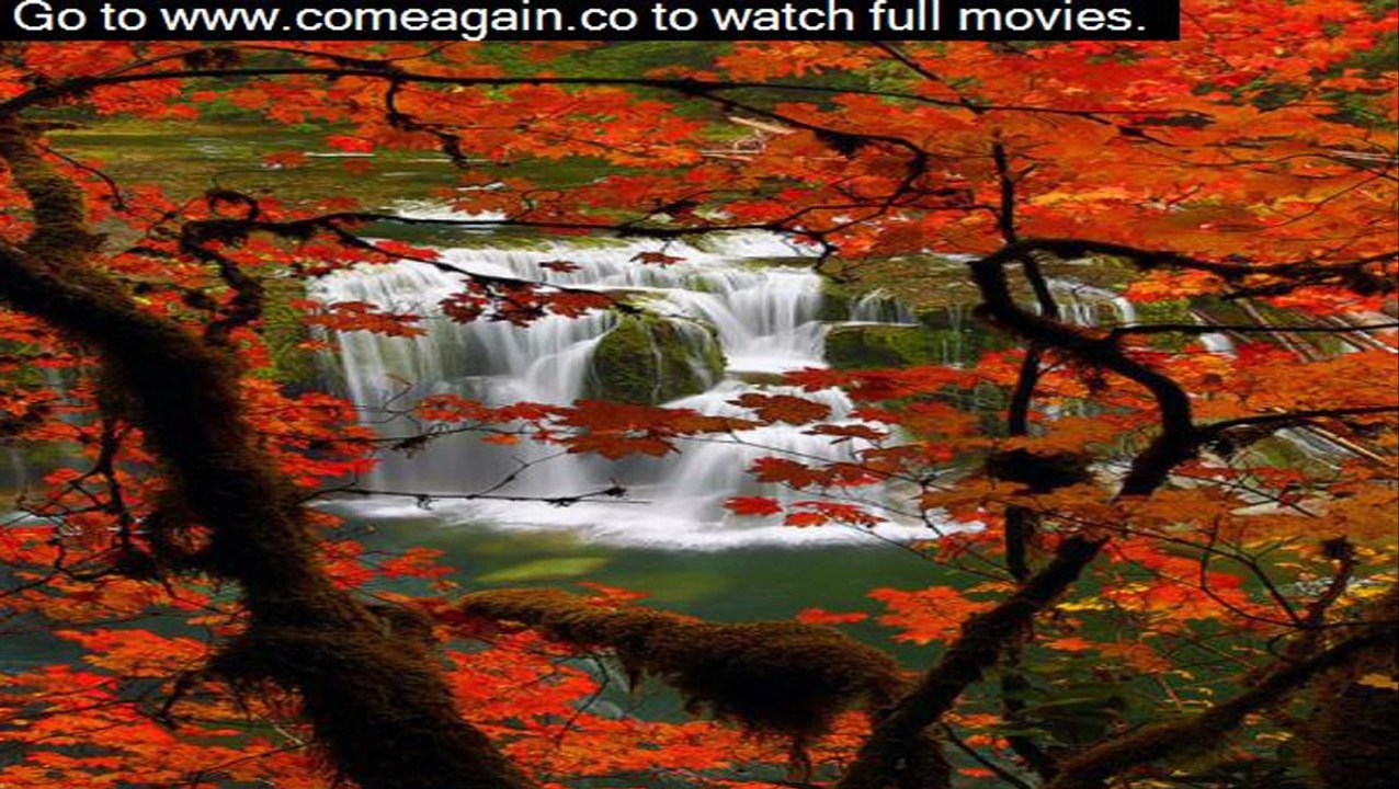 review of movie flight with denzel washington