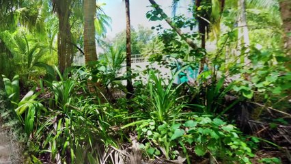 Photo Sphere Android