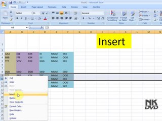 Lesson 20 The Insert Microsoft Office Excel 2007 2010 free Educational video Training Tutorials in Urdu Hindi language