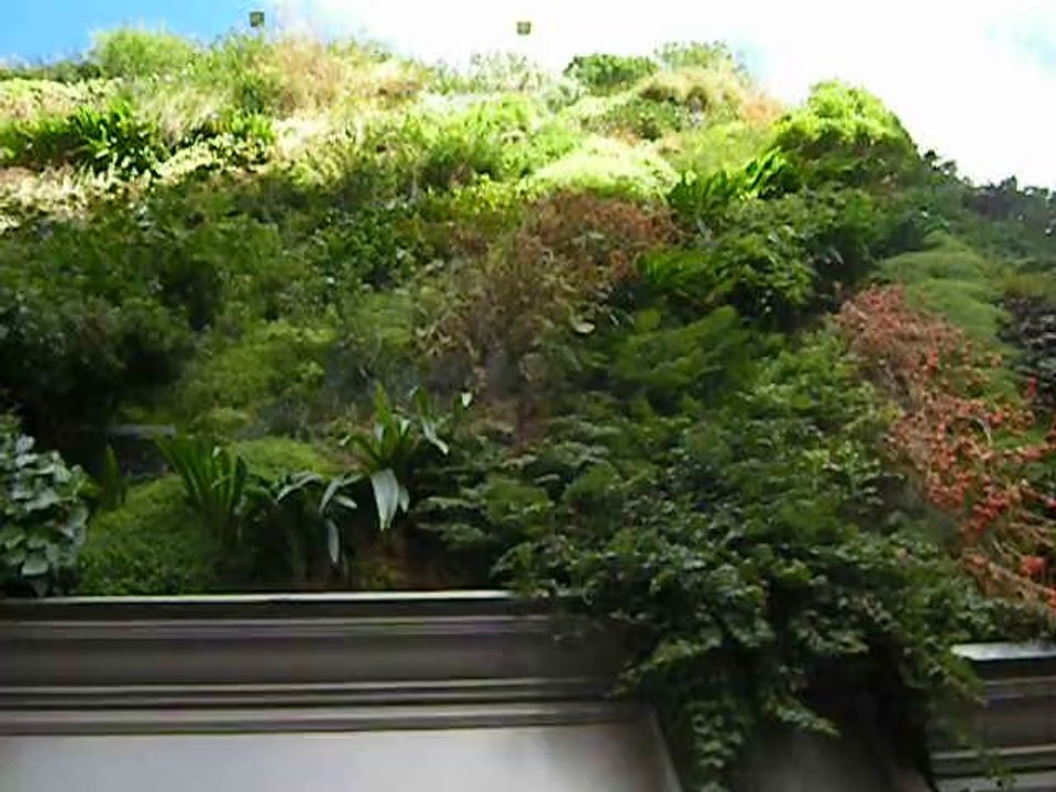 L'Oasis d'Aboukir