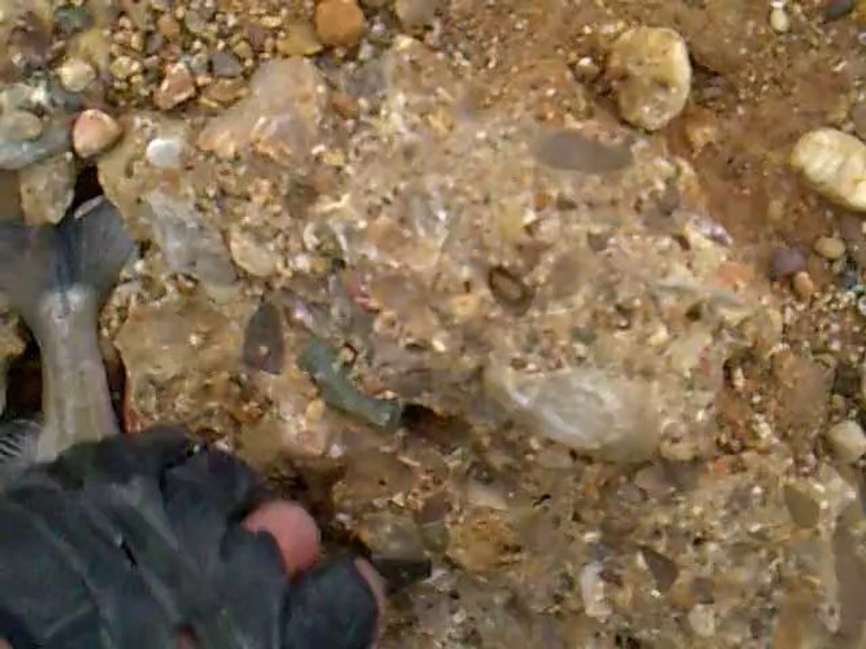 hungry as a hunter 	:)