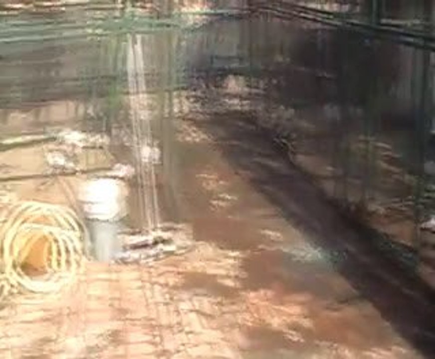 MOV001 (2)