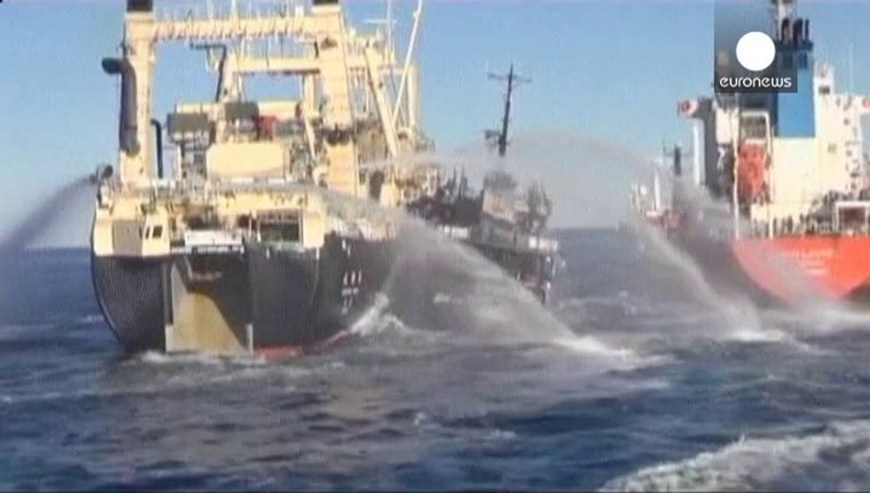 Anti-whaling activists accuse Japan of ramming vessel