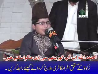 Abu Bakar Sultan(Green Town)