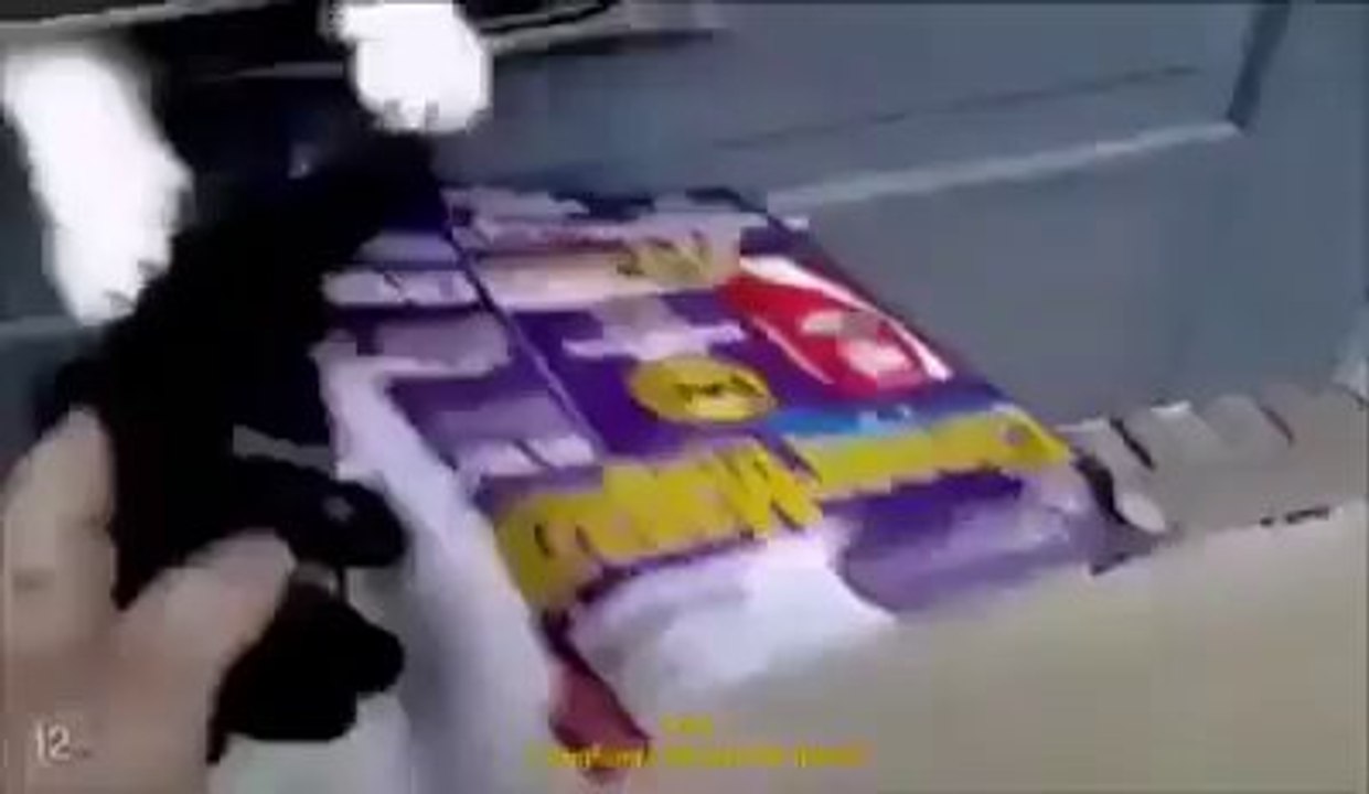 Mailman Battles Cat While Attempting To... Beyondstudios.net