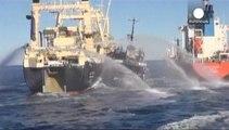 Sea Shepherd denuncia un ataque por parte de balleneros japoneses.