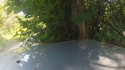 WRC Xsara Car Smashes Into Tree!