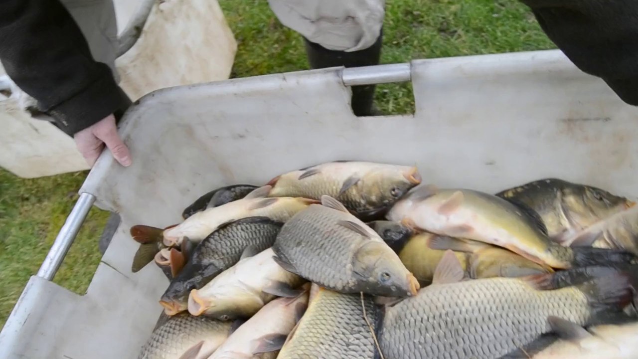 MALZY Rempoissonnement 2014