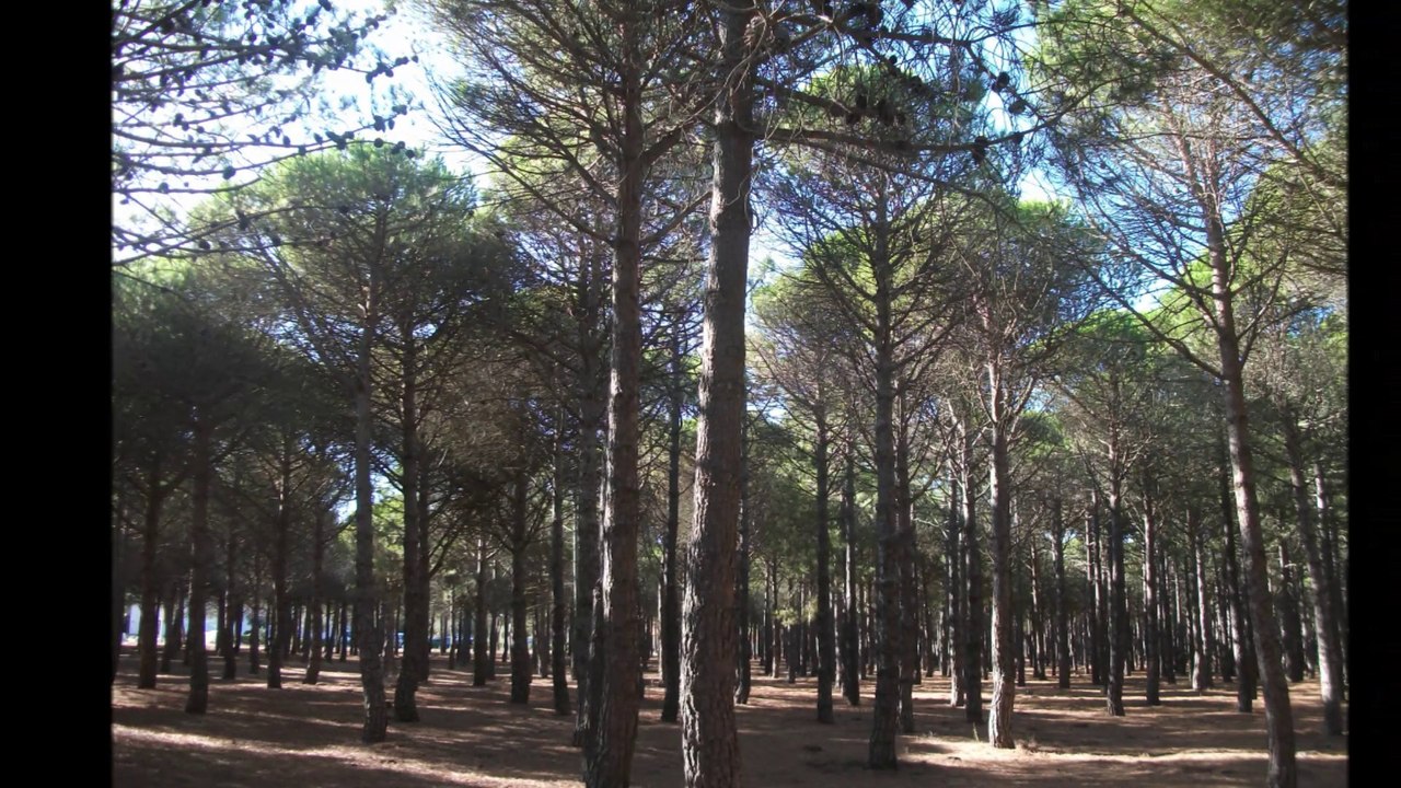 Pays catalan