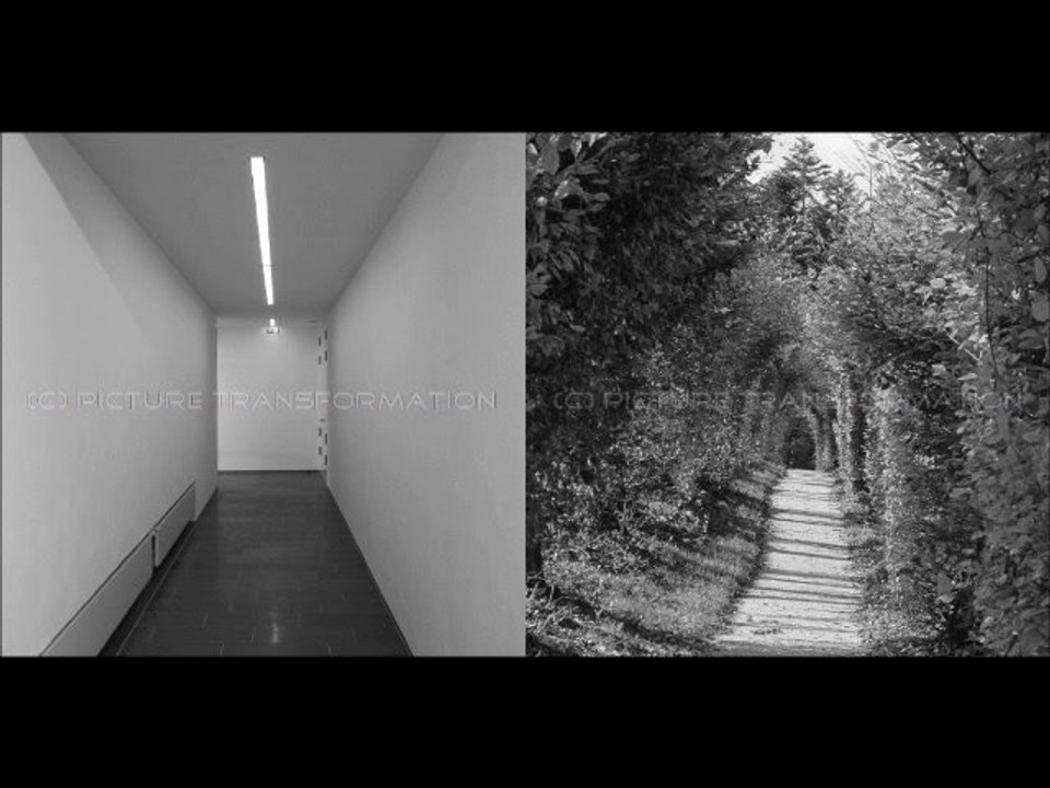 Picture Transformation