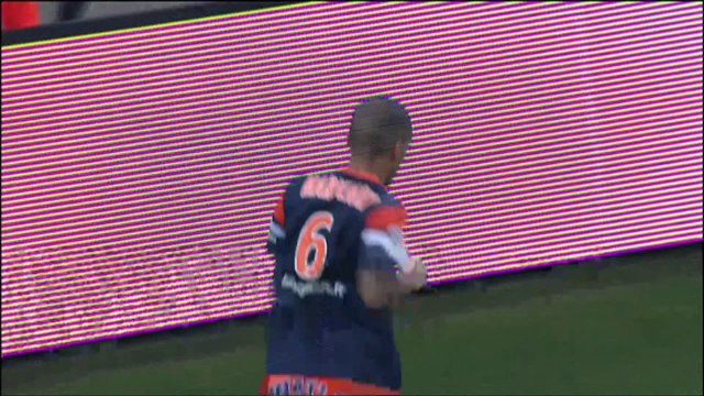 Stade de Reims - Montpellier Hérault SC (2-4) - 01/02/14 - (SdR-MHSC) -Résumé