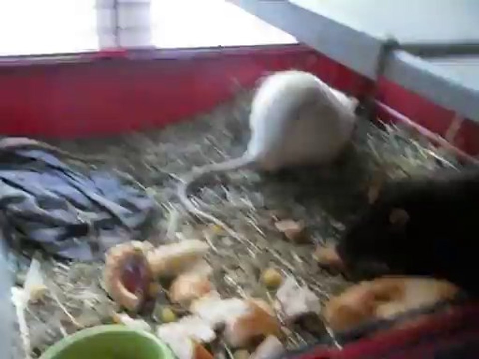 Meal time