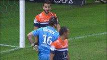 Ligue 1 - Tous les buts de la 23ème journée - 2013/2014