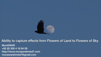 * Hero of Pakistan Mun@WAR "No Pain, No Gain" Video Documentary