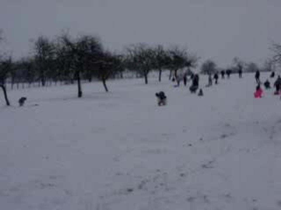 Morgane, future cascadeuse ?