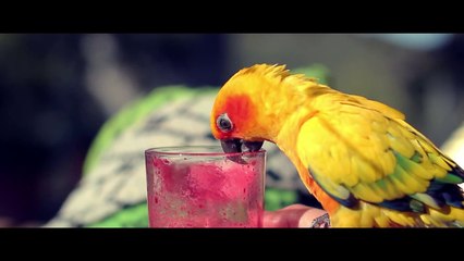 Stories of Bike EP7: Romance