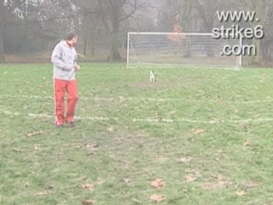 KickTheDog