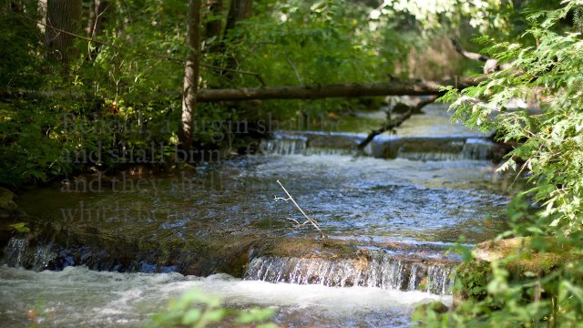 King James Version Audio Bible Matthew Chapter 1