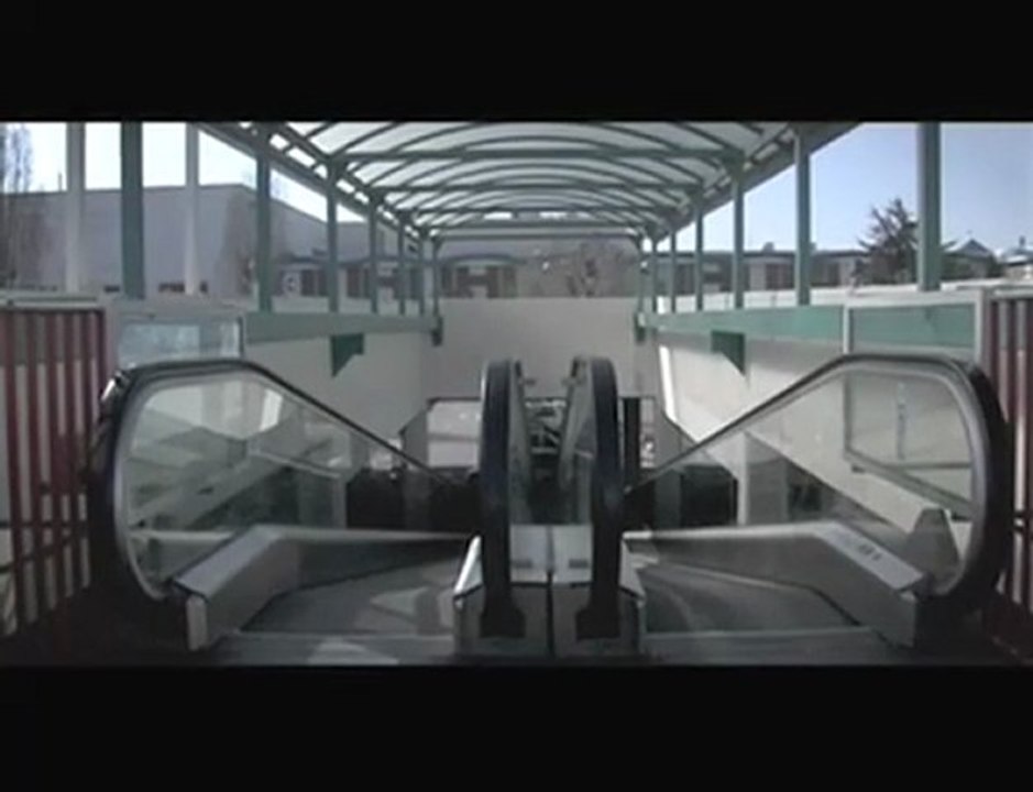 Les Loups dans les Murs