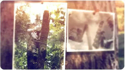 Creeds Tree Service Orlando (407) 442-1345