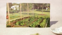 Garden Decor, Garden Patio Table, and Patio Benches