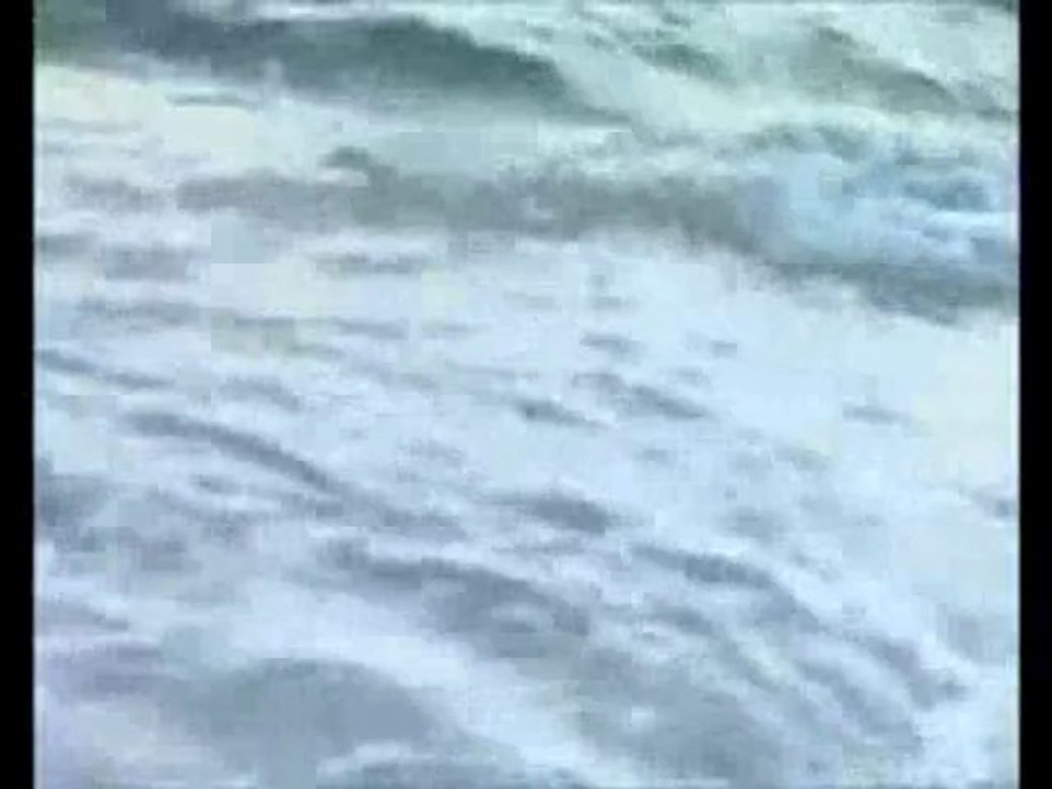 Attila Bardóczy   La mer