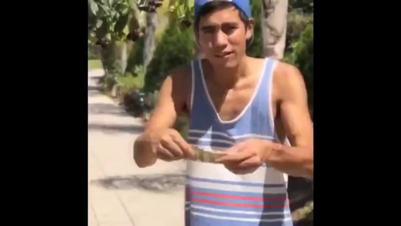 Vine Kralı'ndan akıl almaz videolar
