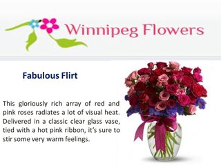 Florist in Winnipeg