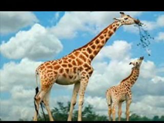 [OPANGEL1.COM] [오피천사1닷컴] 로컬ⓧ강서오피 공덕오피 시화오피 시흥오피