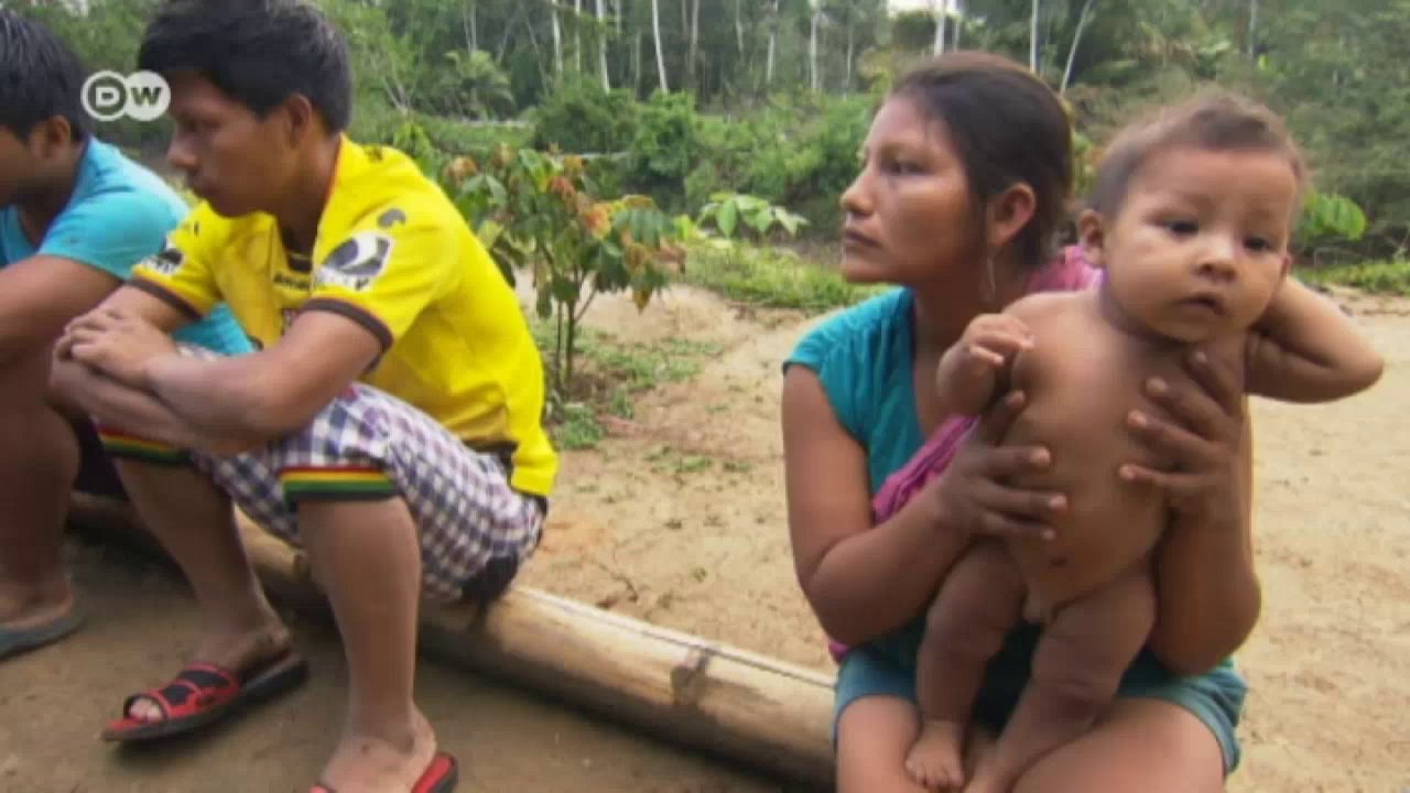 Ecuador: Ist der Yasuni-Regenwald noch zu retten? | Global 3000
