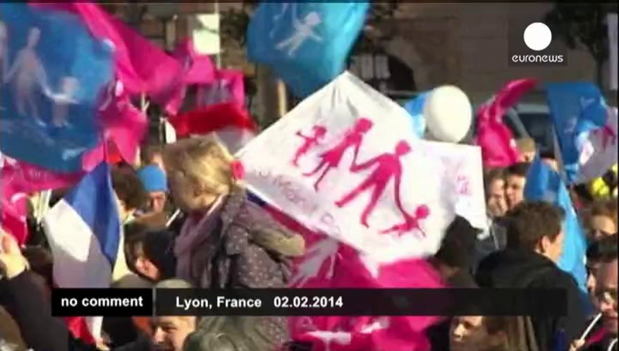 Anti-gay marriage campaigners take to the streets in France
