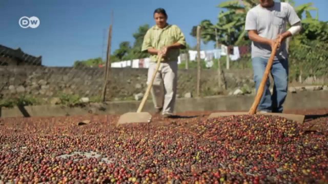 Mexico's Biodiversity: Living near the Tacaná Volcano | Global 3000