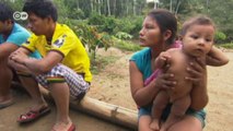Ecuador: Can the Yasuni Rainforest still be saved? | Global 3000