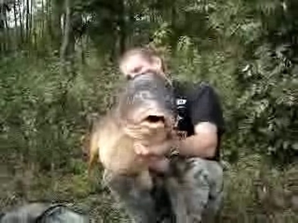 Arme massive