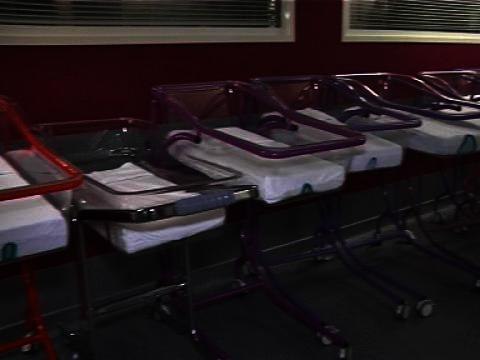 PMA , GPA : derrière ces lettres, de quoi parle-t-on ? - 03/02