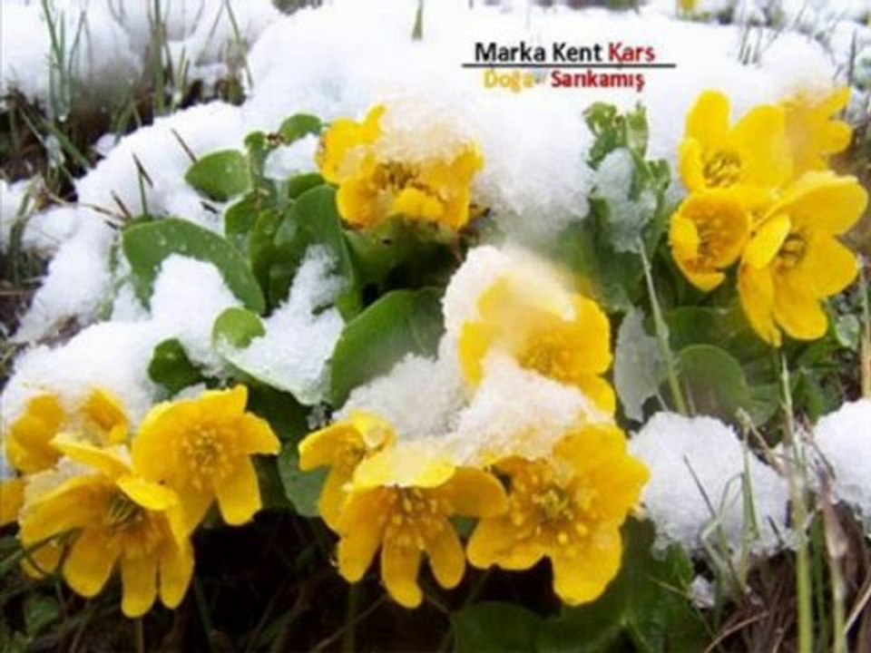 Kars Türküleri Karsın Resimleri @ MEHMET ALİ ARSLAN Videos