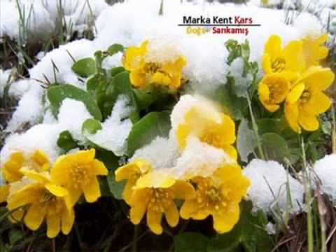 Kars Türküleri Karsın Resimleri @ MEHMET ALİ ARSLAN Videos