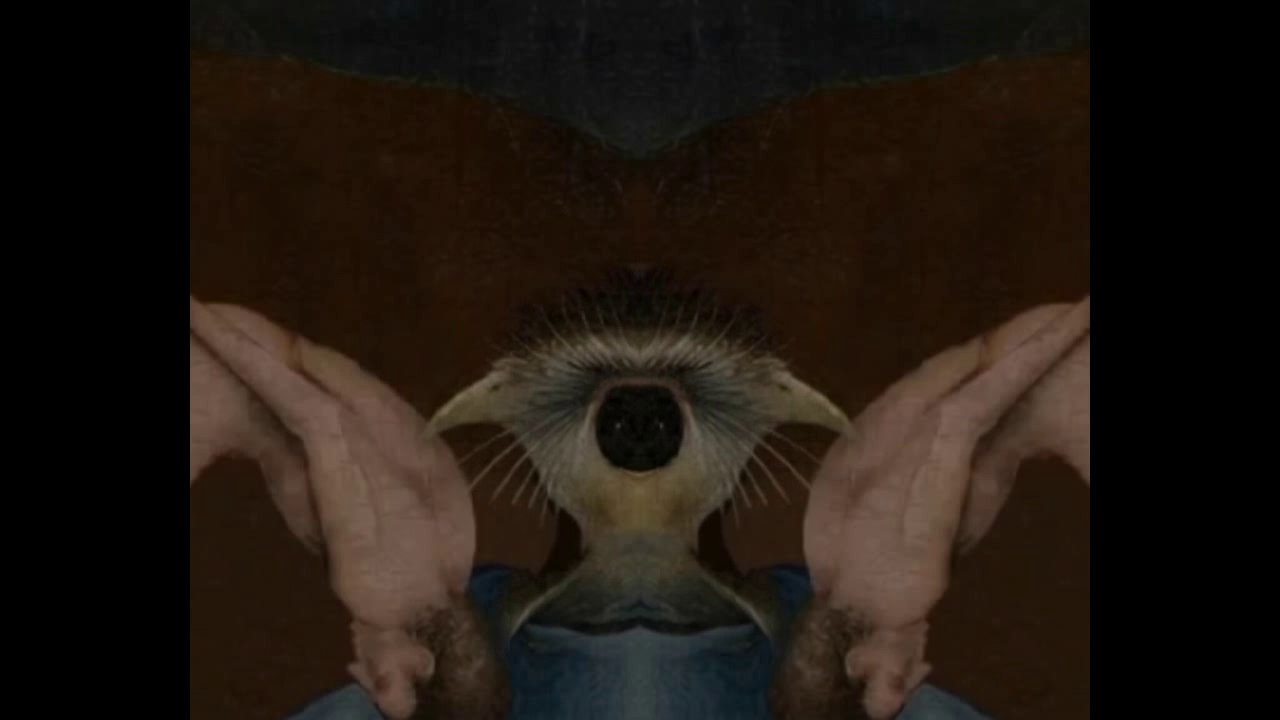 SNARF - Arrak bisa ular (Visual Demo)