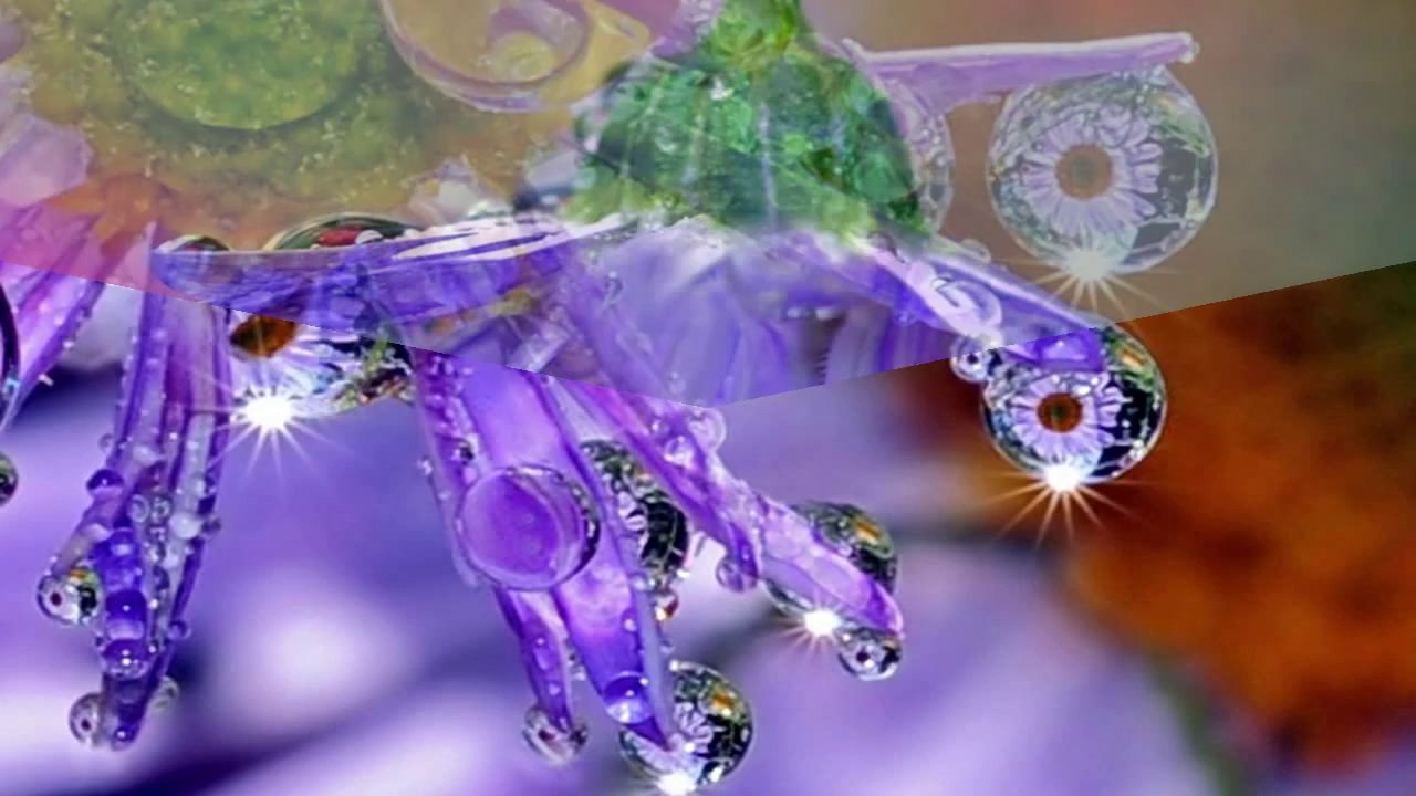 Water Drops (PP720)