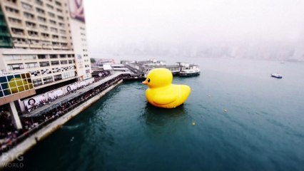 Hunky-Dory Hong Kong