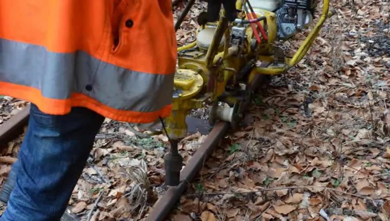 Bürger für die Ybbstalbahn