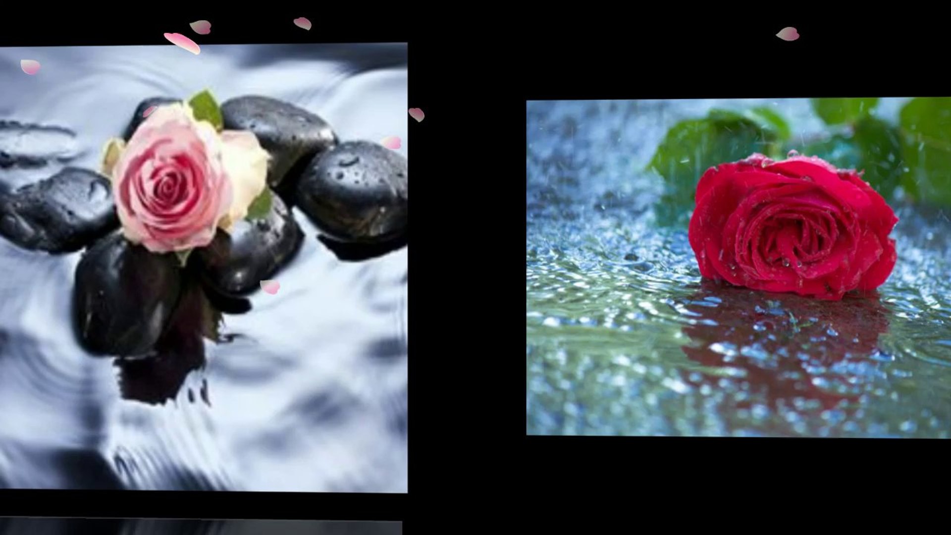 ⁣Красиви рози,вълшебна музика,настроение... ...