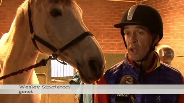 TV3 - Telenotícies migdia - Catalans del sector de l'hípica fitxats a la Xina