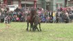 Briga de cavalos em vilarejo chinês