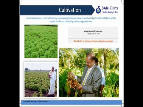 Sami Direct With Full Profile Rubal Singh 8196000806