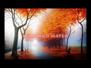 Modern Talking - Wild Wild Water (instrumental)